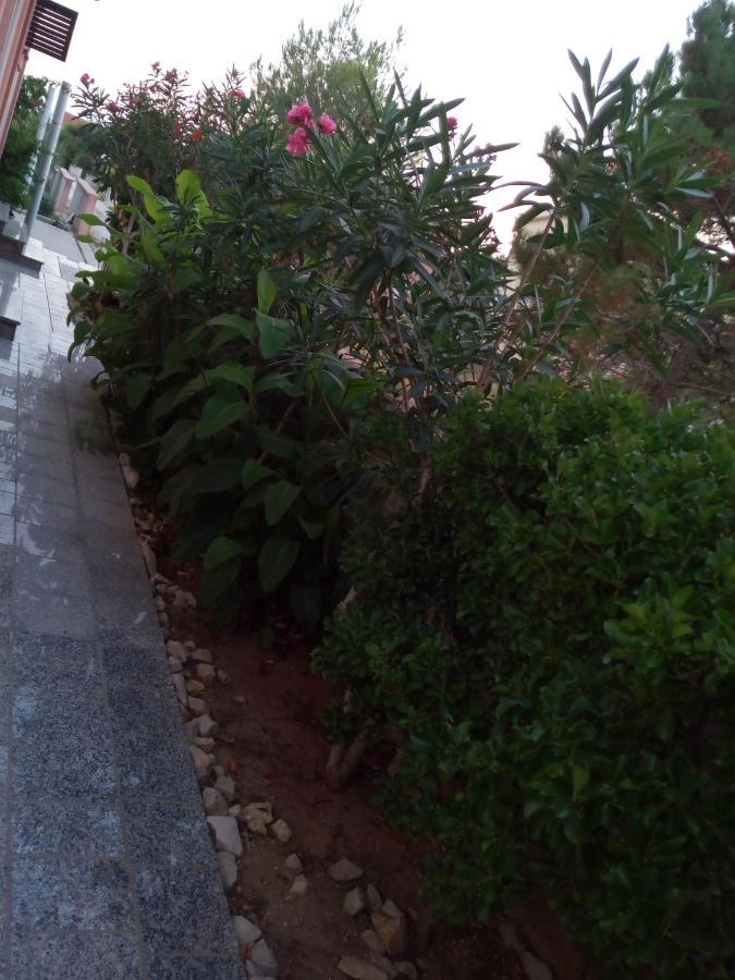 Maslina Apartamento Vir Exterior foto